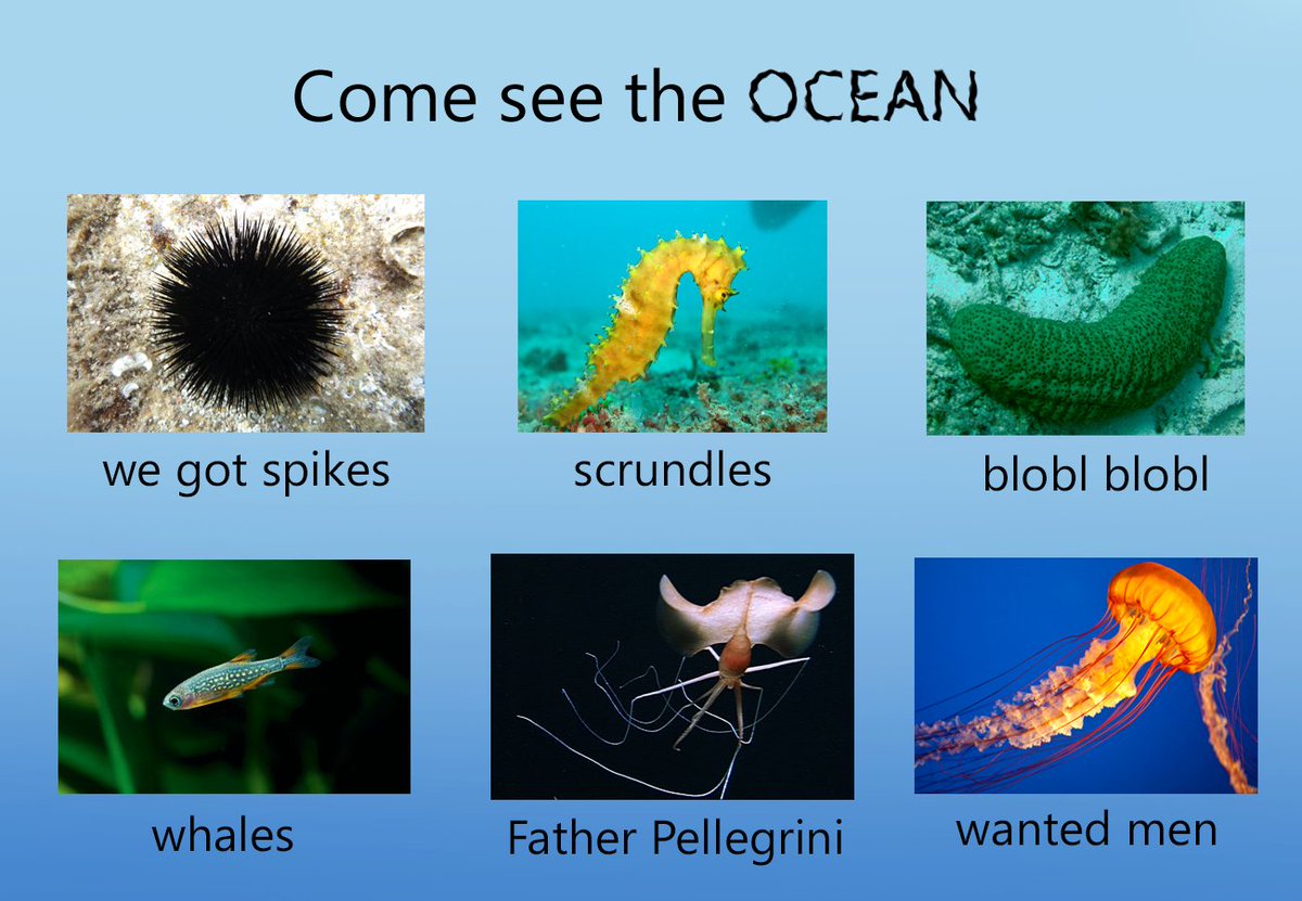 Memes about the ocean are my new obsession