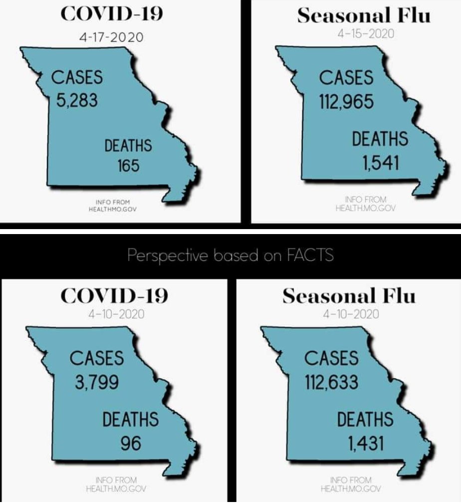 KaySpeshel's tweet image. 9x as many people have died in #Missouri from a variety of influenzas than #COVID19 

#WhatIsReallyGoingOn
#SomethingSmellsBad
@GovParsonMO
