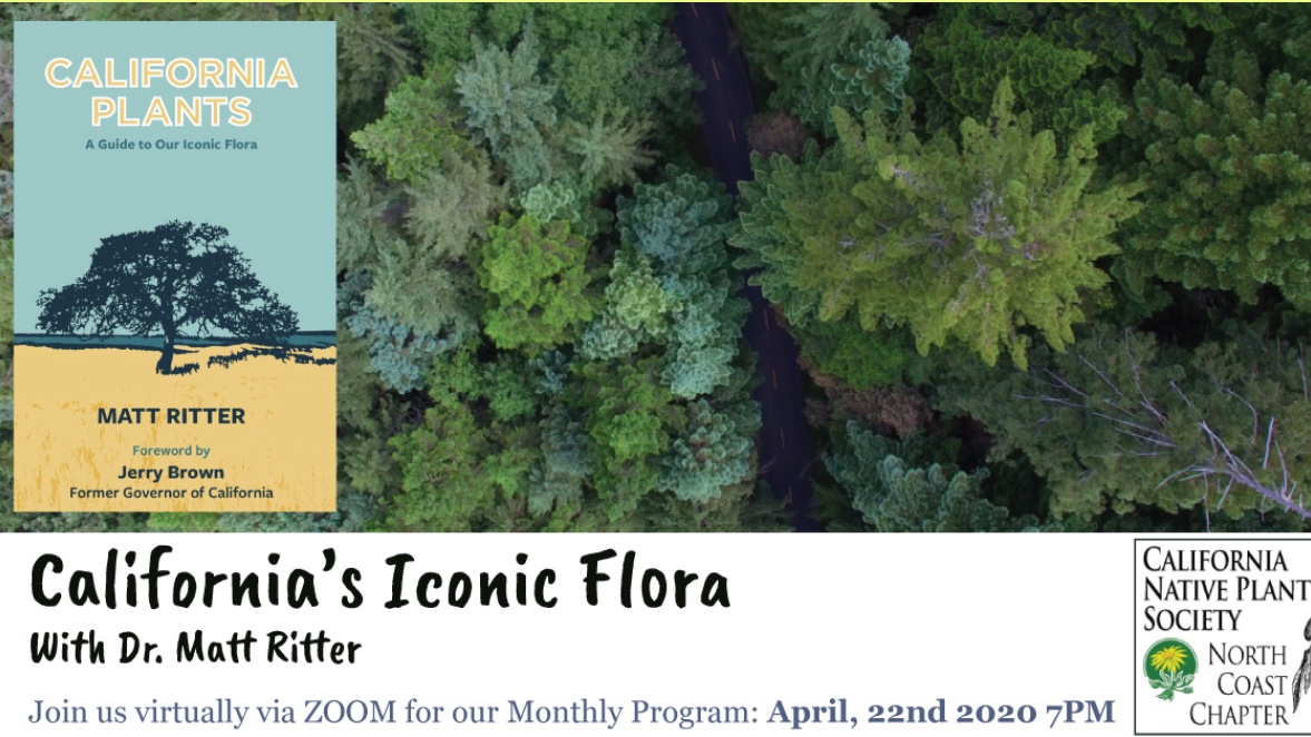 DrMattRitter's tweet photo. I'm giving a free Zoom webinar through North Coast @CNPS  April 22nd at 7:00pm. Please join in! I’ll be showing beautiful photos and revealing the sometimes surprising stories about some of our most iconic native flora. Register at https://t.co/XPSiXk3KGK  #CNPS #nativeplants https://t.co/zSnVUdtDjN