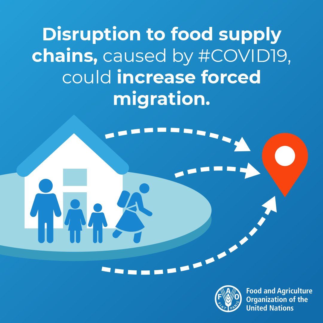 FAO on Twitter If food supply chains become disrupted people lose Biology Diagrams