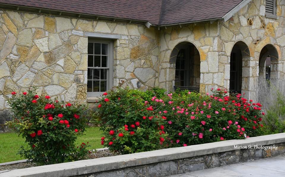 Barnardsmill's tweet image. Mrs. Jordan second owner of the Mill  who initiated the community to be renamed Glen Rose in the 1870's  would have love our current crop of roses! @somervellcounty @glen @exploreglenrose #glenrosetx #somervellcounty #dinosaurcapitaloftexas #roses