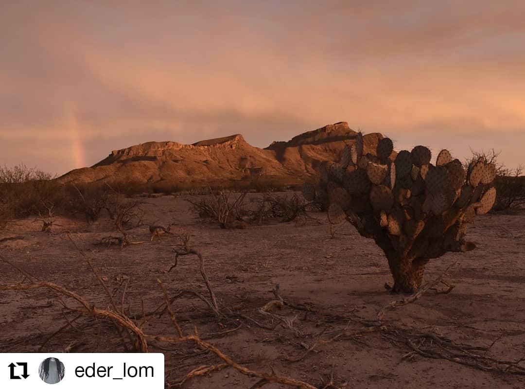 TraviareOficial's tweet photo. #Repost @eder_lom
• • • • • •
Reserva de la Biósfera de Mapimí
Rainbow in the desert 🌈🏜
.
.
.
#nopalesdemexico #nopalesdeméxico #opuntia #nopal #mapimi #mapimí #mapimidurango #bolsondemapimi #plantasmexicanas #rainbow https://t.co/y2CeEH26Hz