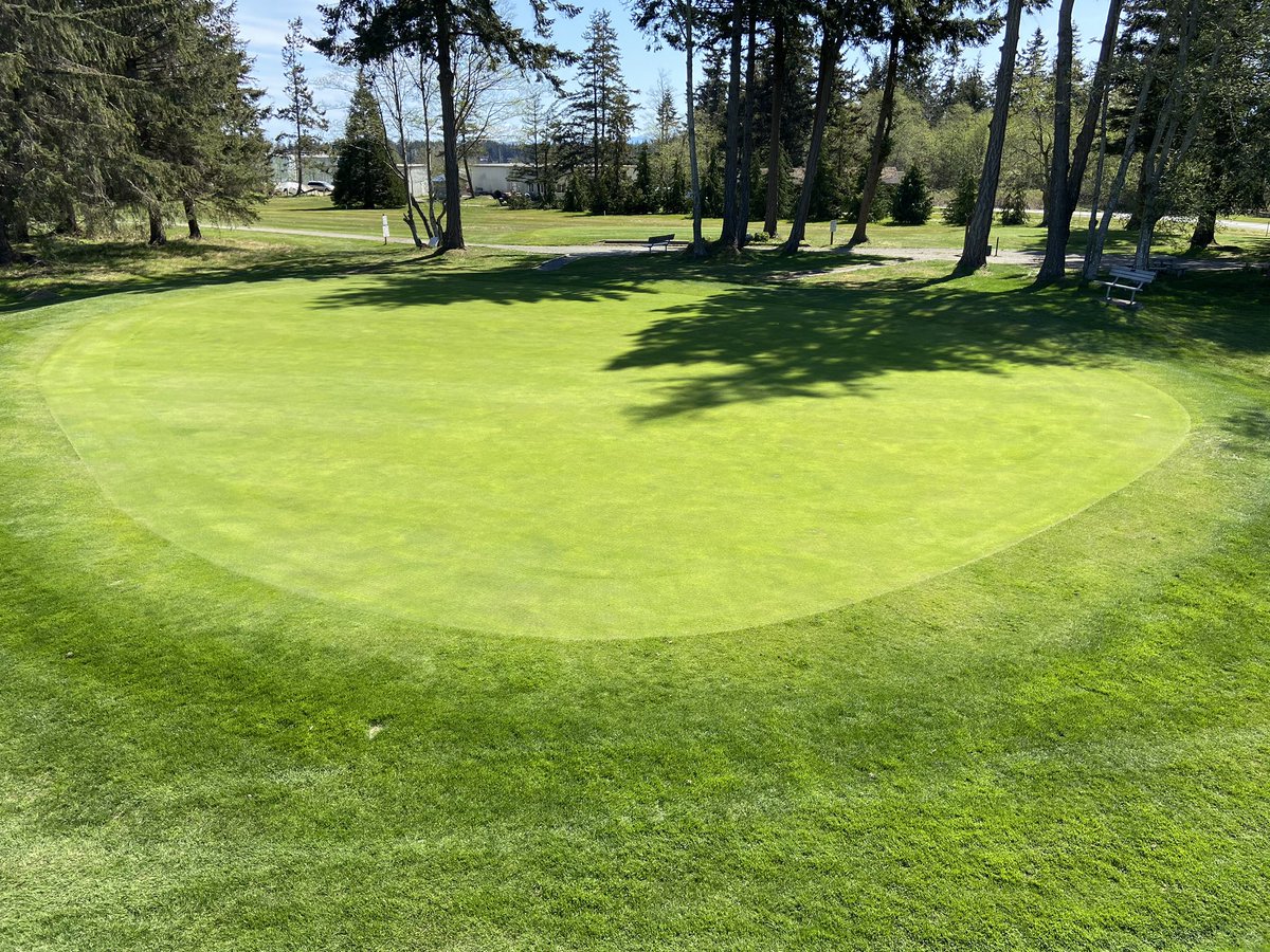 No filter required. Greens are glowing <a href="/GolfGG/">Glacier Greens Golf Club</a>