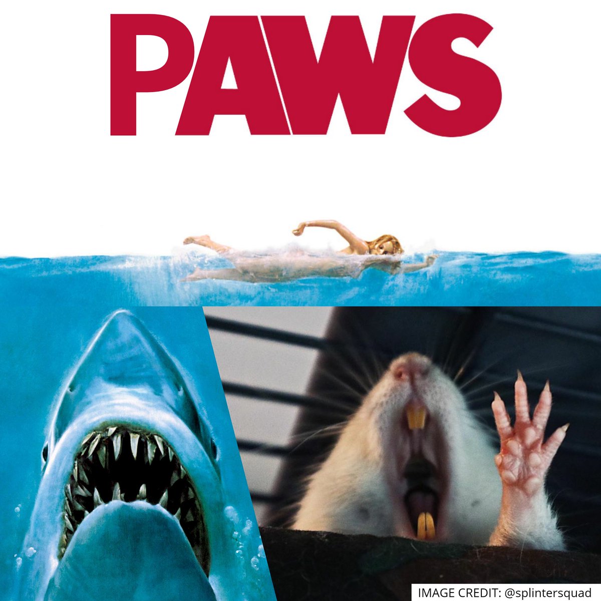 ❗PAWS❗🐾🐀🦈
#Rats #RatsOnTwitter #Rattybox
rattybox.com