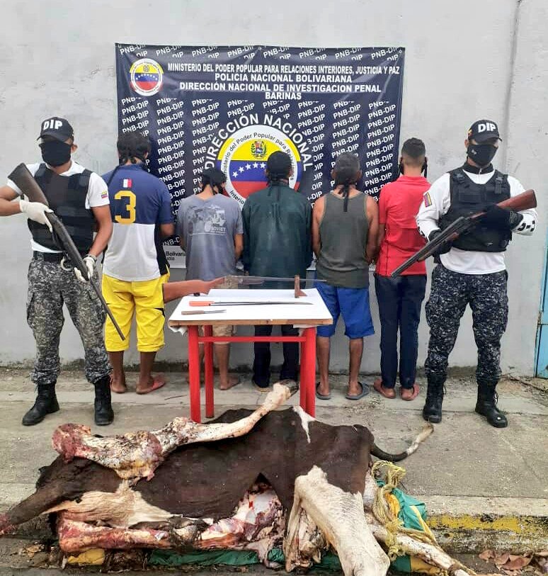 TierraVermelha's tweet photo. CRIMINALIZAN CAMPESINOS EN BARINAS

5 campesinos del predio Rancho Moderno en Socopo, en base a falso positivo del terrateniente y PNB (sembraron vaca y escopeta), son presentados como abigeos

Pdte @NicolasMaduro HAGA JUSTICIA

@lafuerzadchavez @dcabellor @NestorLReverol @lubrio https://t.co/1TW95Ece6H
