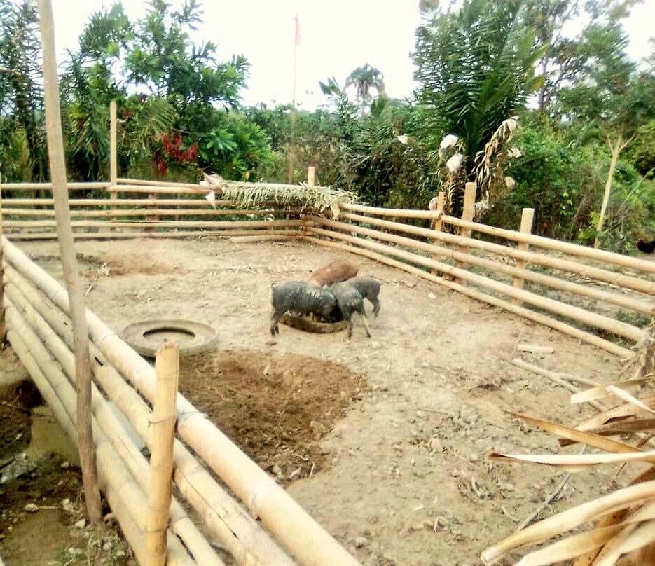 TierraVermelha's tweet photo. CRIMINALIZAN CAMPESINOS EN BARINAS

5 campesinos del predio Rancho Moderno en Socopo, en base a falso positivo del terrateniente y PNB (sembraron vaca y escopeta), son presentados como abigeos

Pdte @NicolasMaduro HAGA JUSTICIA

@lafuerzadchavez @dcabellor @NestorLReverol @lubrio https://t.co/1TW95Ece6H