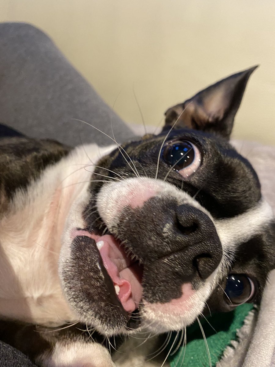 Alex Borg tweet media