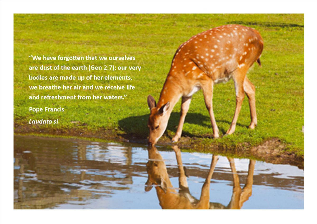 Let's  care for our common home
#EarthDay2020 
#greenbeltmovement
#GretaThunberg 
#laudatosi