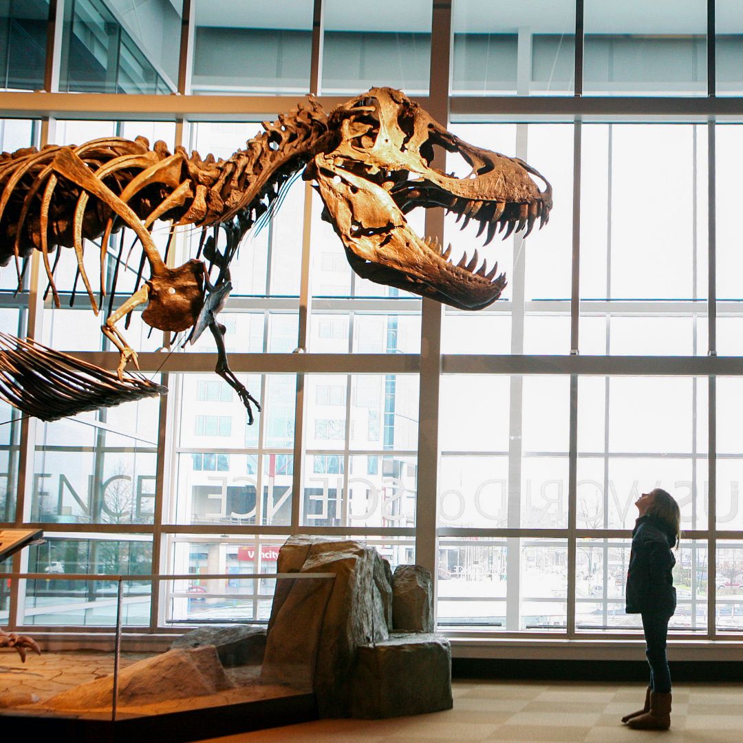 RegencyMA's tweet photo. Regency Inn and Suites West Springfield Hotel Tips: Did you have upcoming plans to visit #museums that have now been canceled? #Google is helping you explore virtually! Find out more here: https://t.co/888HGDdaQm https://t.co/uil9M4YFSZ