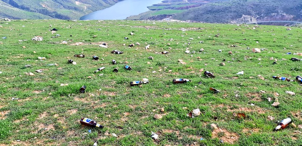 Kadir Bal tweet media