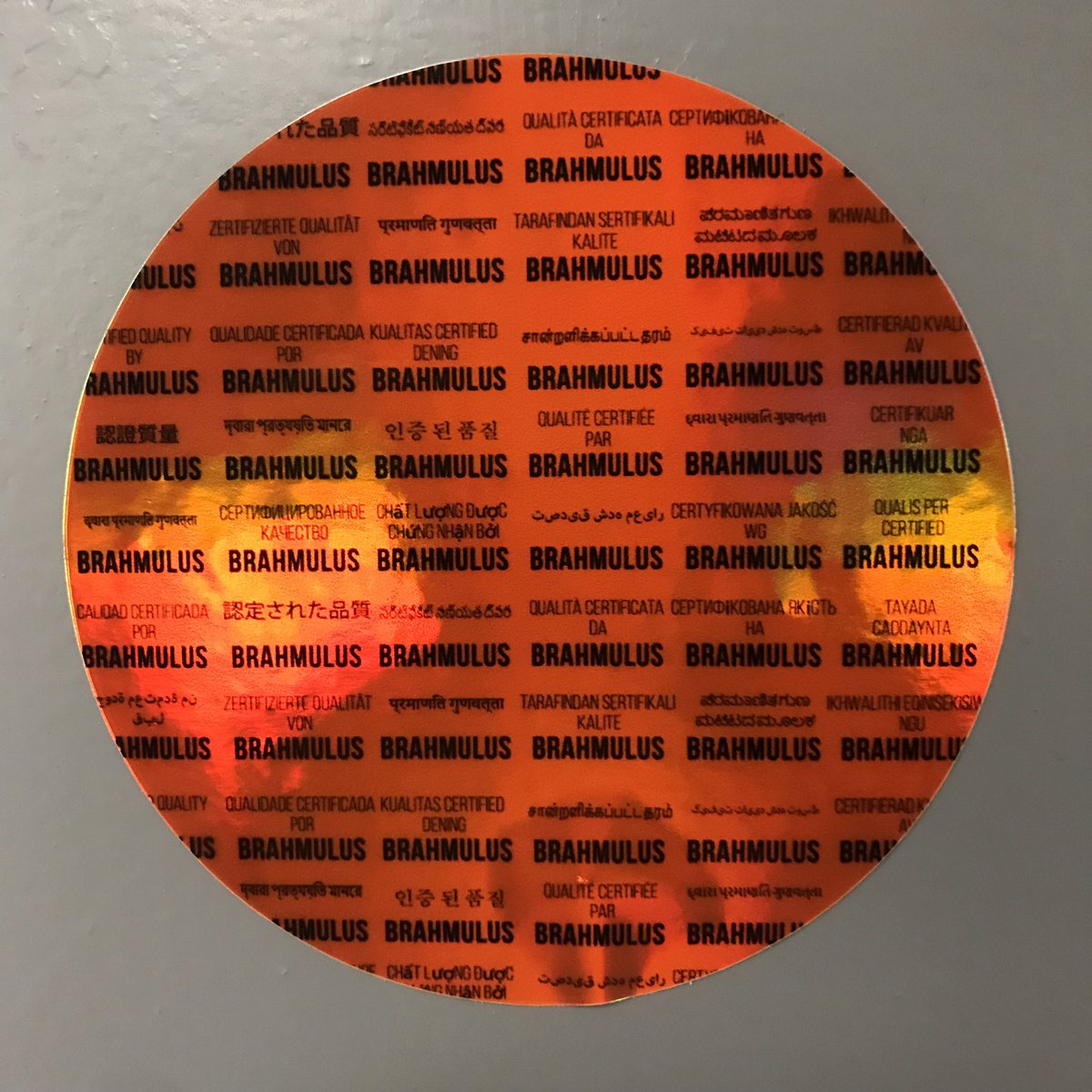 γ waveRDRRR 🏄🏽 tweet media