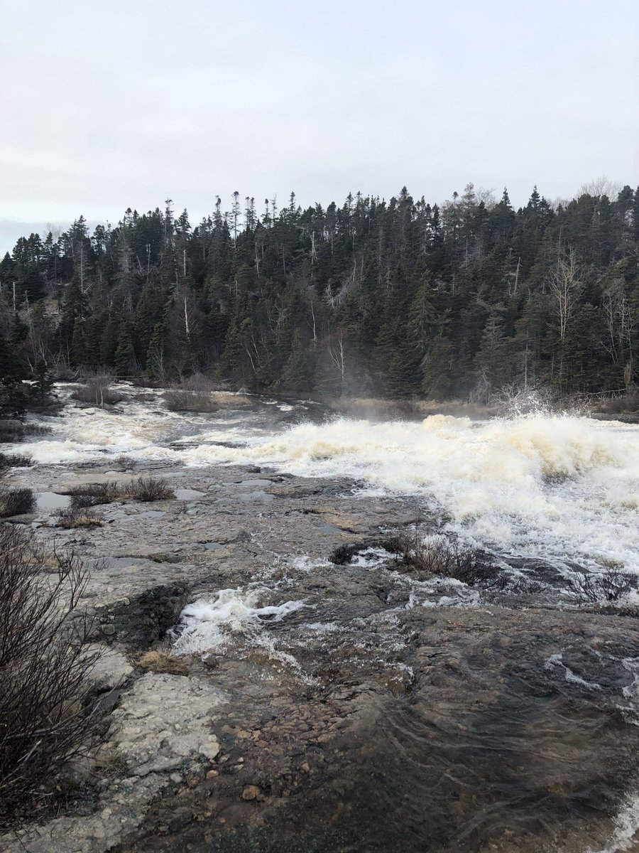TownofCBS's tweet photo. Please do not venture off the @ManuelsRiver trail to take photos of the rapid currents. We have reports of people down on the rocks trying to get close to the water. This is exceptionally dangerous. https://t.co/kPS3nzkWnS