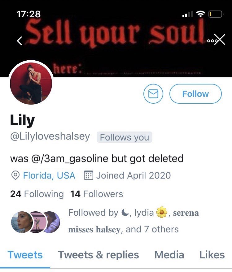 Suddenly this other account pops up called Lily... & a bio saying she used to be Catfish Chloe's @ but that it got deleted, so i get a text from a friend to check it out but guess what? i've been blocked before even checking it 