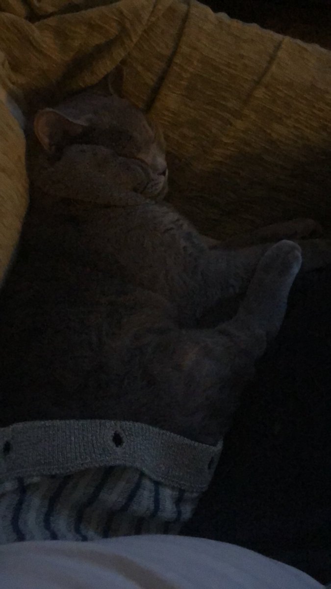 Ege Başaran (@basaran_ege) on Twitter photo 