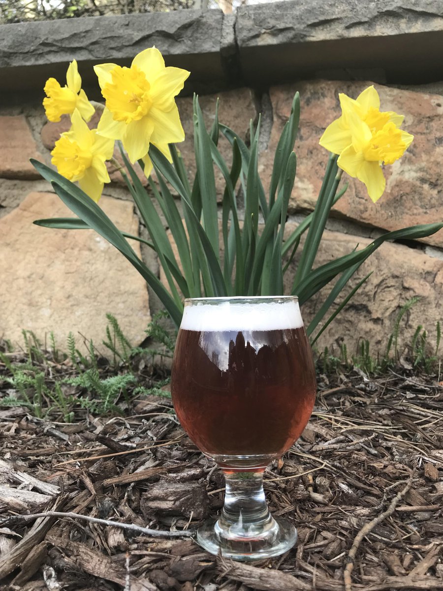 ElRanchoBrewing's tweet photo. Open for Take Out Food/Beer during COVID-19 stay-at-home. Order online from our website, or phone in 303-670-2739, or order from the DoorDash website. We are doing curbside, take out and delivery in a 10 minute radius. Stay safe! https://t.co/3wrCAeJDjV