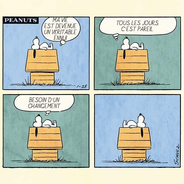 Marre du confinement ?
Suivez les conseils de <a href="/Snoopy/">PEANUTS</a>
