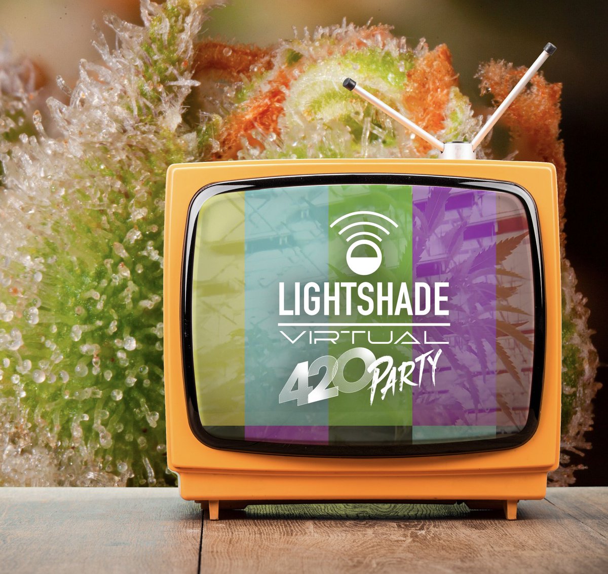 LightshadeCO's tweet photo. Celebrate 420 at home!! Join us on 4/20 for Lightshade's Virtual 420 Party, featuring DJs, bands, comedy and more! COVID-19 won't stop us from celebrating our favorite holiday! https://t.co/5IpYMK8MG6 #420 #Virtual420Party #Colorado420 #420Life #420Festival #LightshadeCO #CO https://t.co/JWT9F5ZOgN