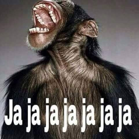 oscacardona's tweet photo. @MariaFdaCabal @petrogustavo Legrado??? https://t.co/NAOZKuW1l0