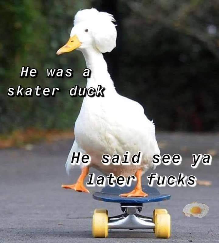 😂😂😂