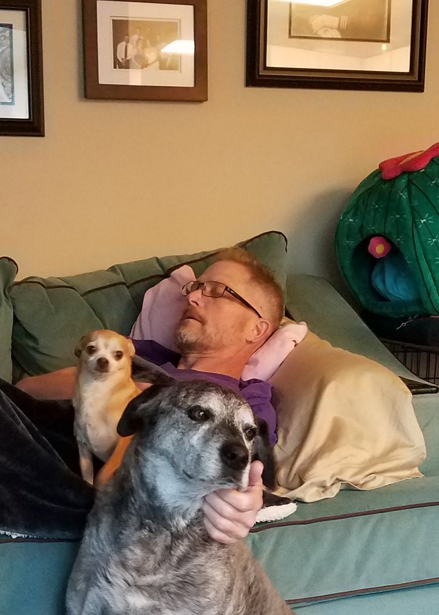 SparkyKat_Lives's tweet photo. Miss this guy. The dogs do, too. He was their favorite! Now Otto just follows me around
Photo taken in October 2019, 2.5 months before we said goodbye #CancerIsStupid https://t.co/vAWf4IumfR