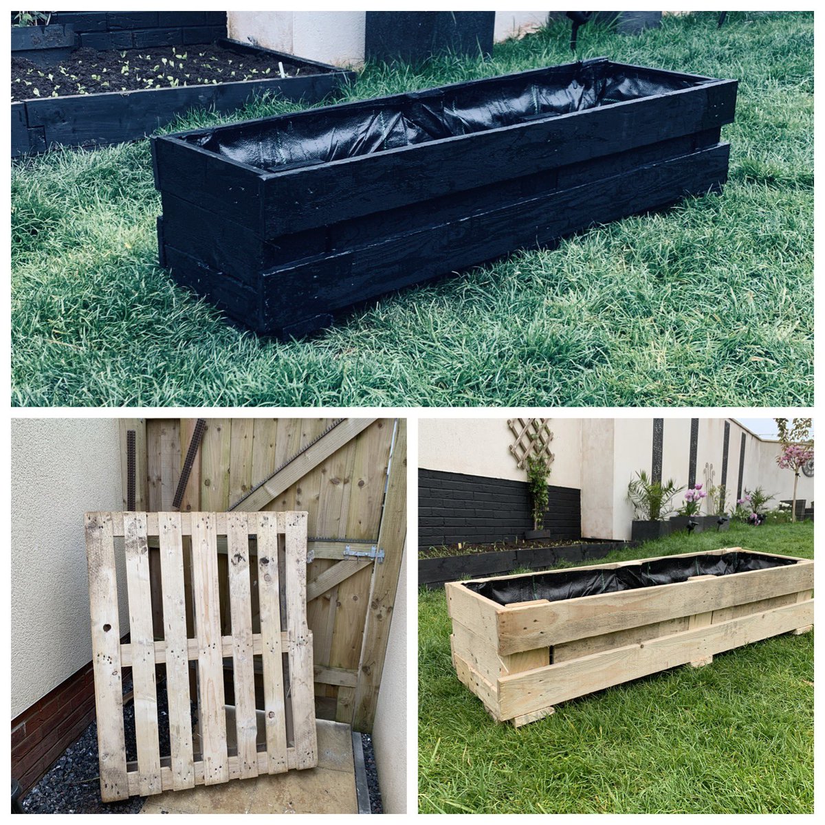 ldufty's tweet photo. Up cycled a pallet to a planter today. All for free 👩🏼‍🌾👷🏼‍♀️🌱
Can’t wait to fill with veggies tomorrow.
#Upcycling #growyourown https://t.co/kymlIT3qWG