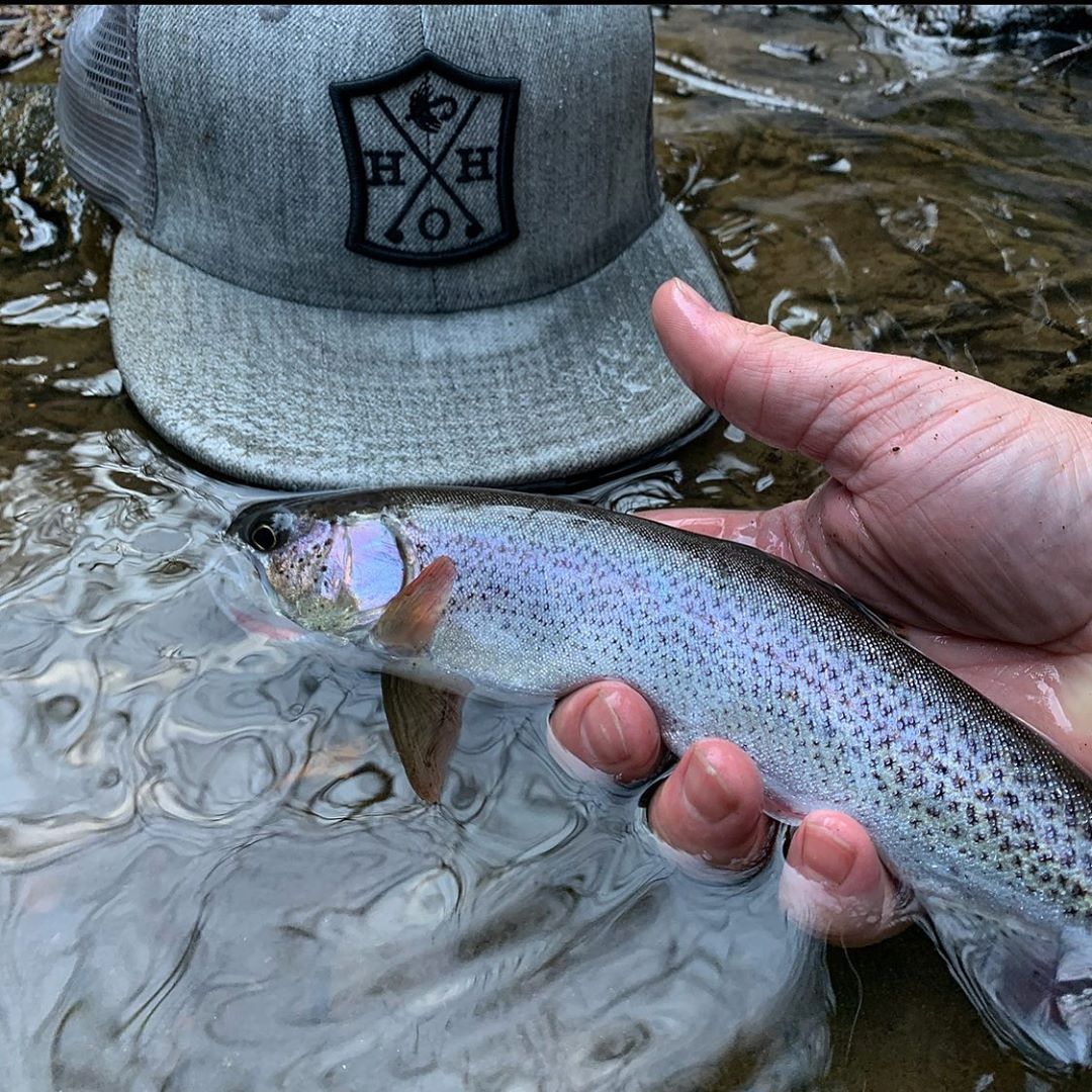 H&H Outfitters tweet media