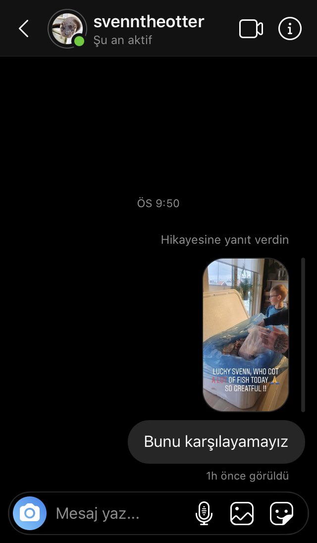 Yeri geliyor insan boşluktan su samuruna dm atıyor