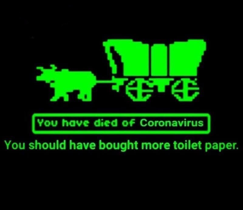 WP_CodeCamp's tweet image. Did you know #OregonTrail was built by only three people in their spare time while they were in college?

Are you using your spare time in this #COVID #lockdown to work on your #passionproject with a friend? Tell us about it and tag your friend!
•
•
•
#codingbootcamp #webdev