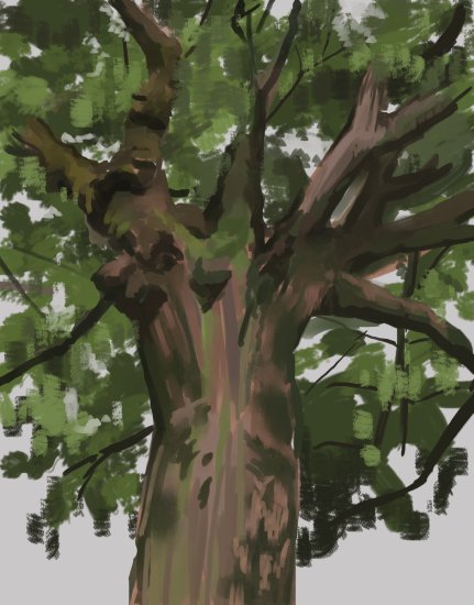 dada90706953's tweet photo. 樹の練習
＃日々描く https://t.co/AAHBsGOiBr