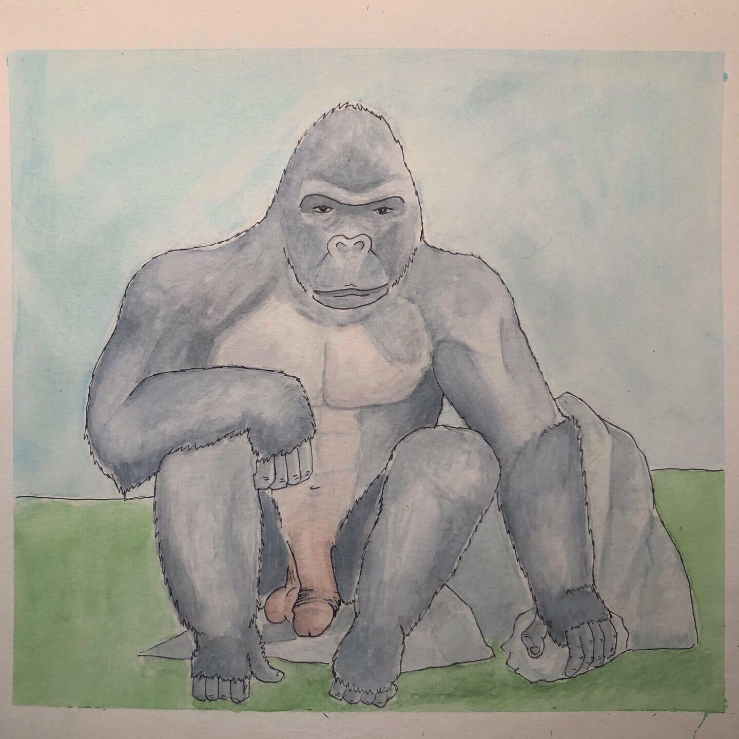 Mekkora pénisze van 1 gorillának?