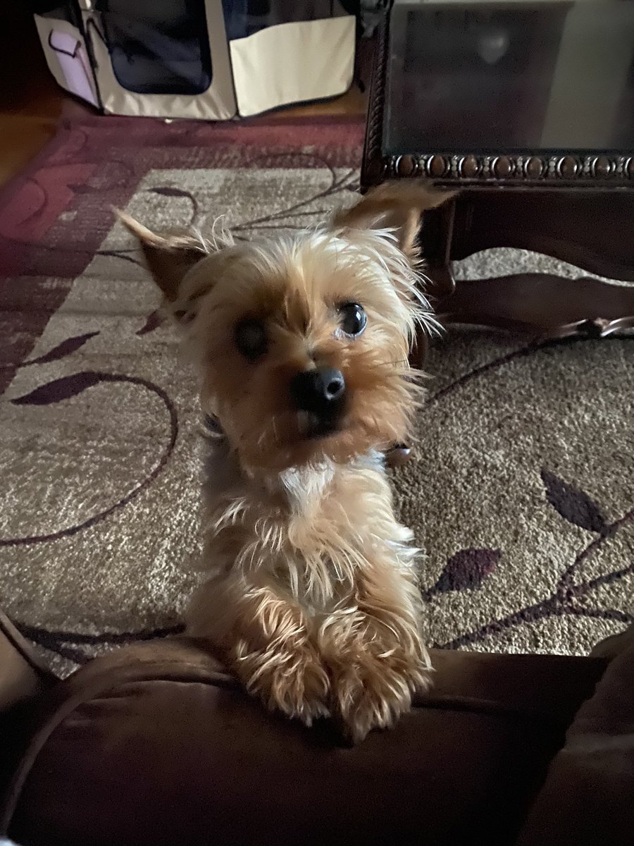 MsMaryLewis's tweet image. My Chloe’s 1st Birthday ❤️🎉🎂