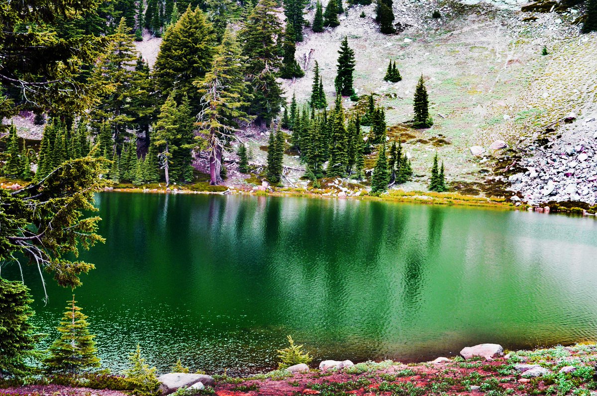 ashrscott's tweet photo. When does adventure season start?  I'm looking for some location inspiration like this!! #emeraldlake #lassenpark #amwritingfantasy https://t.co/a8jyMgKjHq