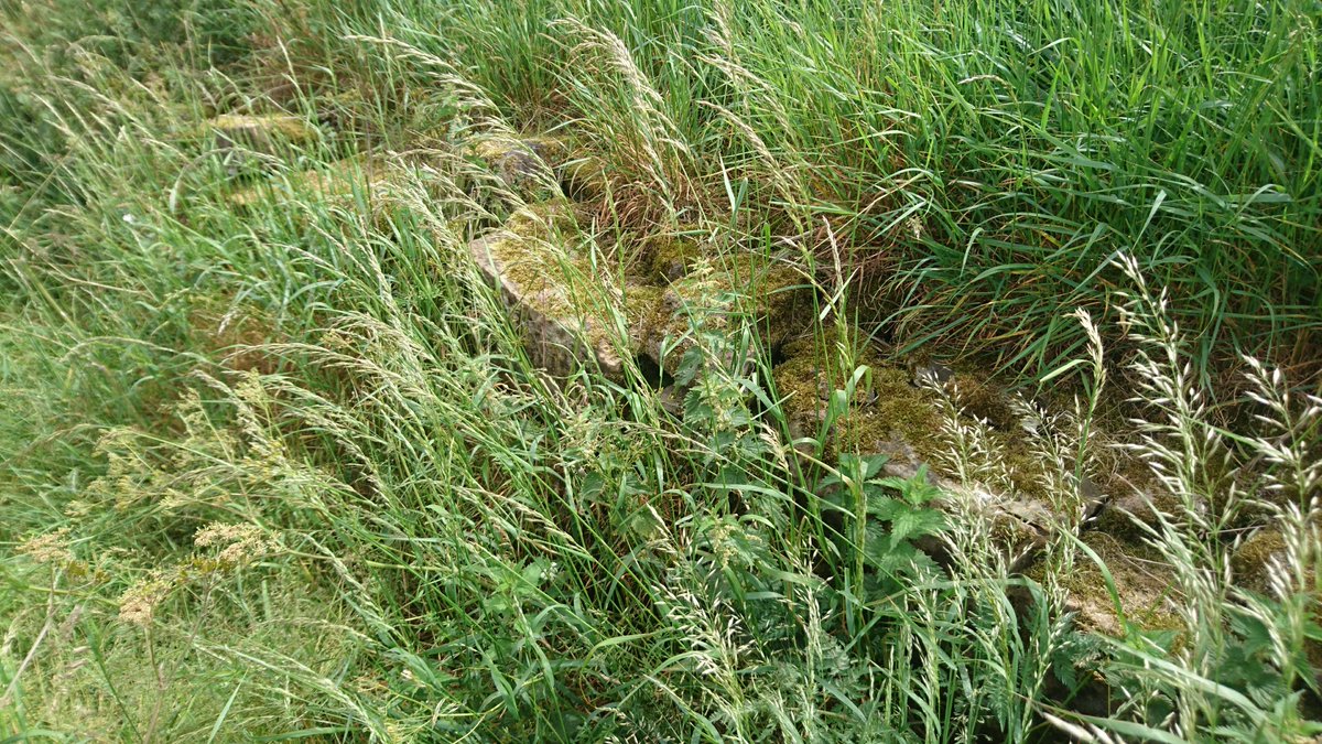 Some photos of the wall... It is very much keeping a level, rather than serving as a boundary - it's supported by stone walls on the east of the field, but levels off as you go west. Field walls don't do that... /7