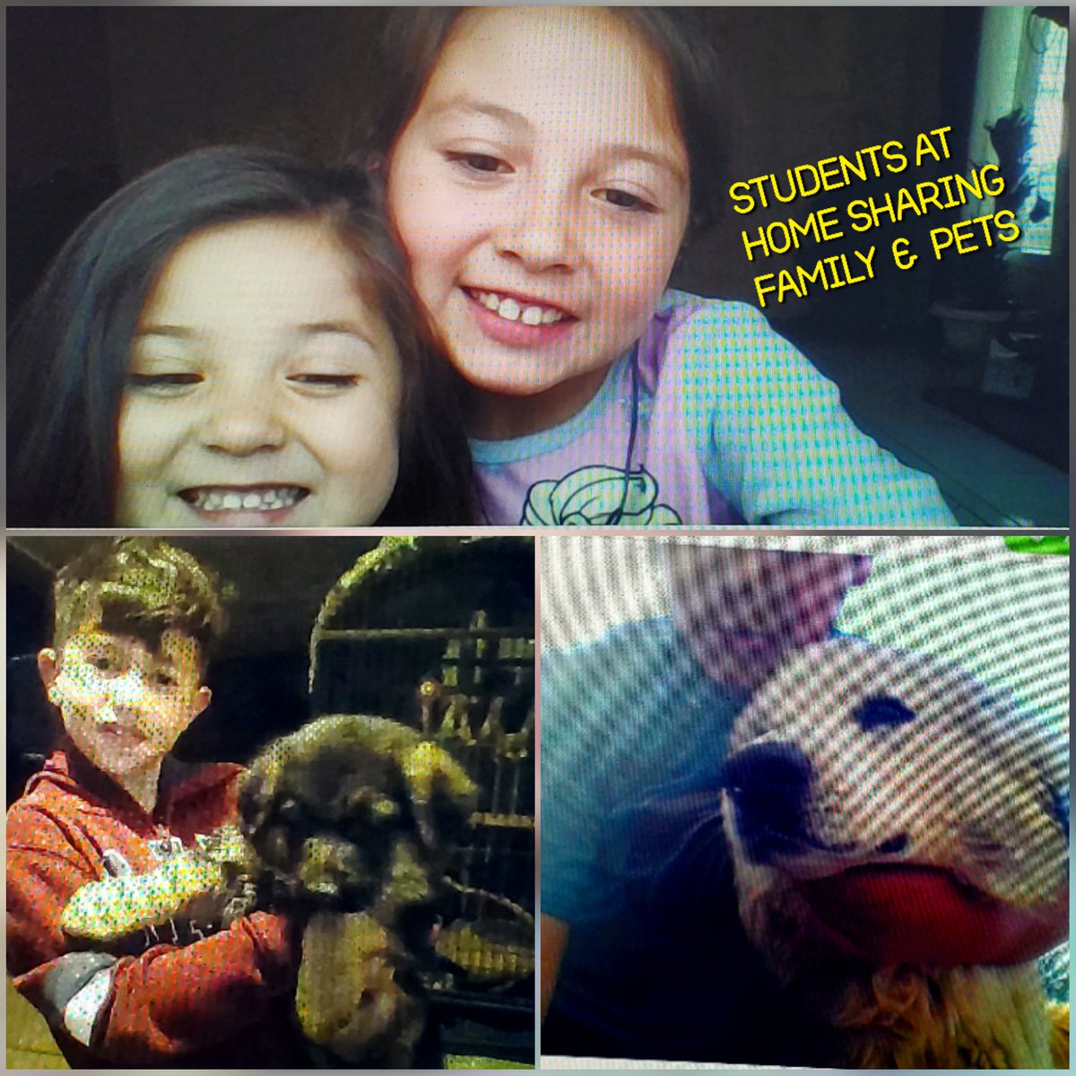 Columbia students share family and pets at home <a href="/ShawnessyWatts/">Shawnessy Watts</a> <a href="/Columbia_VVUSD/">Columbia Elementary</a>