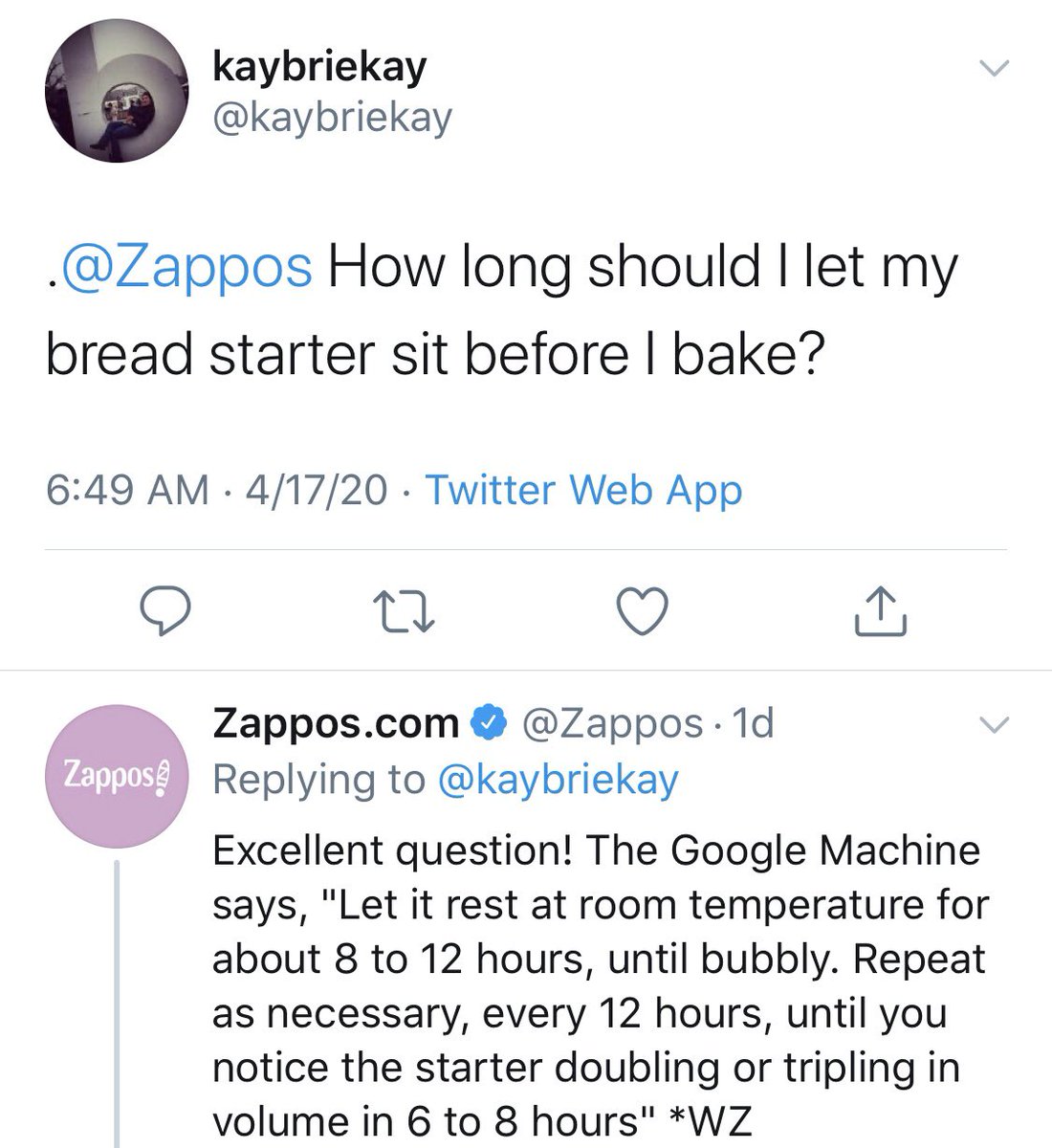 Zappos's tweet photo. how serious are we when we say we’re here to help you with *anything*? we raise you this (yeah pun intended) https://t.co/xxsxHEwJfN