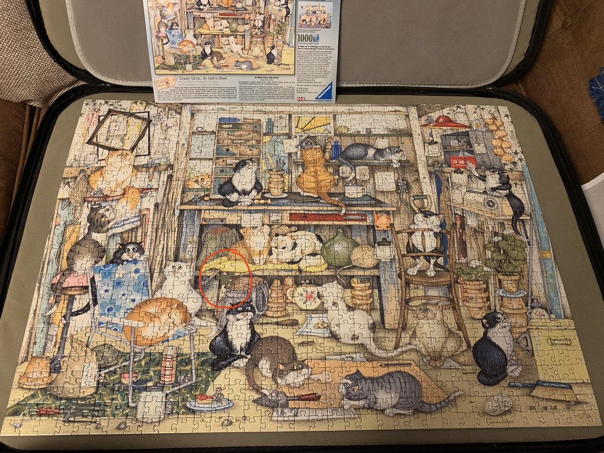 LynsayPI's tweet photo. Gutted to finally finish my 1,000 piece @RavensburgerUK jigsaw only to find the last piece is missing! #999pieces #lockdownfrustration https://t.co/W2KPI3CHH1