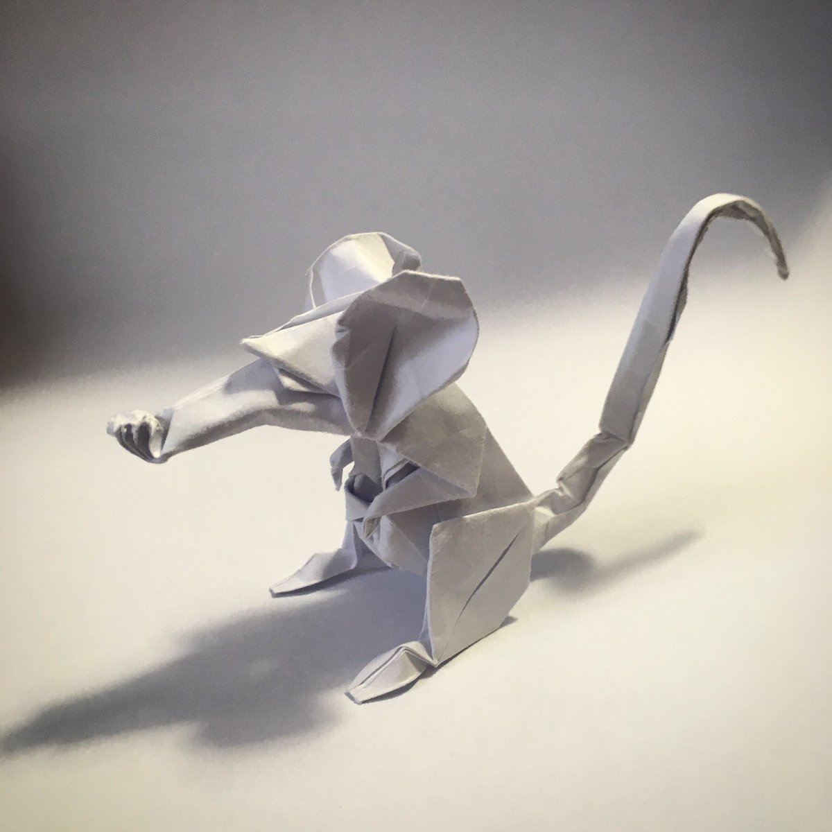 antoniogarcesv's tweet photo. Origami RAT! By Eric Joisel.
.
.
.
.
.
#origami #origamirat #art #origamiart #origamianimal #rat #ericjoisel #ericjoiselorigami #paperfolding #paperfold #paperfoldingart #papel #papelolegado #papiroflexia #stayathome #quedateencasa #restezchezvous https://t.co/VAVtbz7fXn