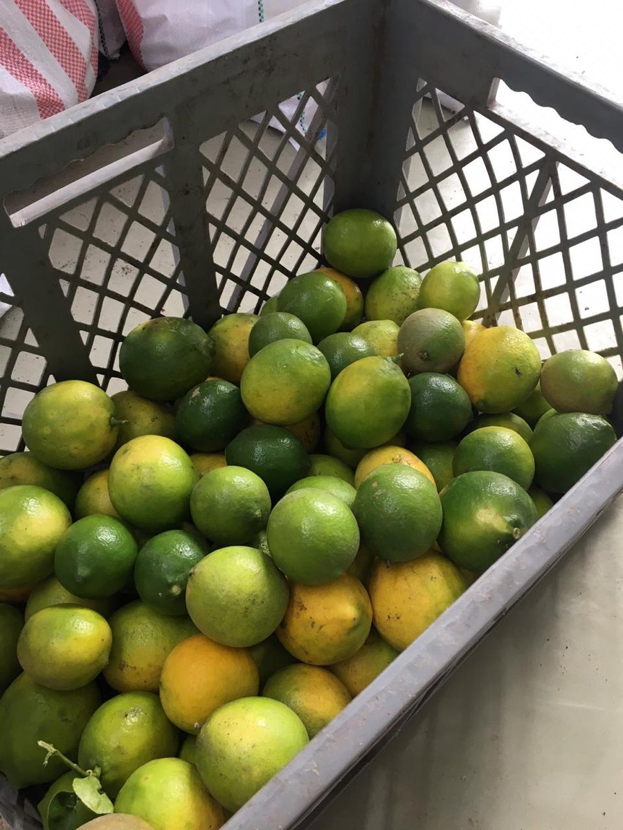 🙌#AEcuadorLoSacamosTodos 💪 El sector agroproductivo no se detiene 🍋🥑🌽 y comprometidos con el país, compartimos alimentos cultivados en la Ciudad del Conocimiento, con quienes más lo necesitan. #EcuadorUnido  #QuedateEnCasa  #COVID19Ecuador