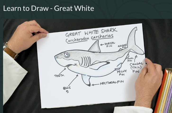 WWF New Zealand tweet media