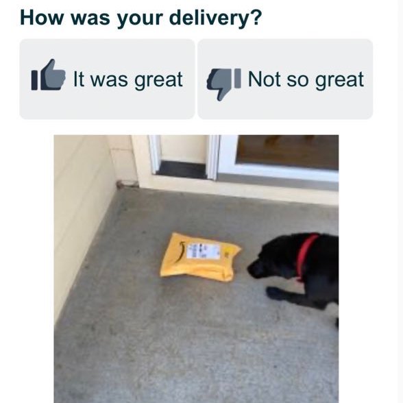 Austin Johanning tweet media