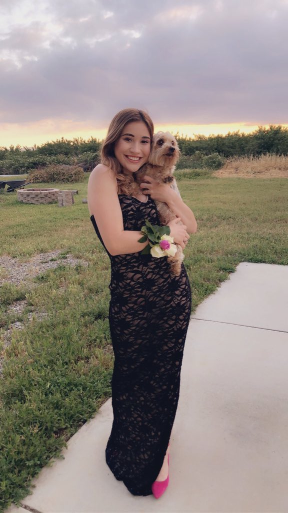 cassiyy31's tweet photo. old dress + homemade corsage = senior prom quarantine style🥳💗 #TigerDanceWeek @LosBanosTigers https://t.co/F0xp057ckO
