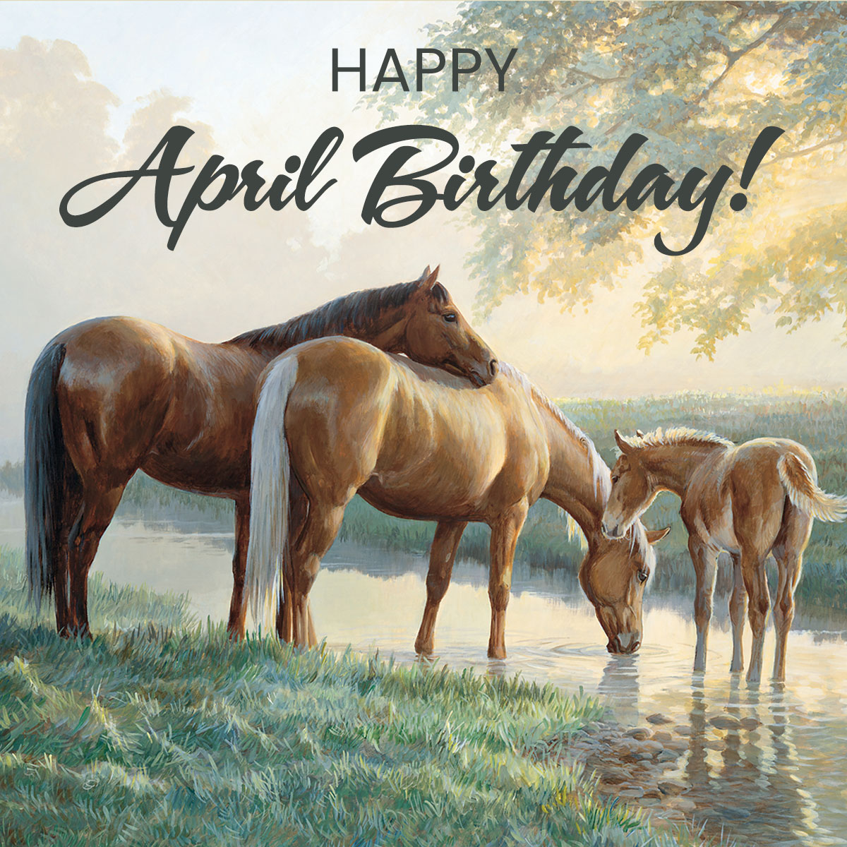 Happy April Birthday! Tag a friend who is celebrating their birthday this month. 

(Pictured: 'Spring Morning - Horses' by Persis Clayton Weirs - wildwings.com/collections/al…) 

#happyaprilbirthday #happybirthday #wildwingsart #natureart #horseart