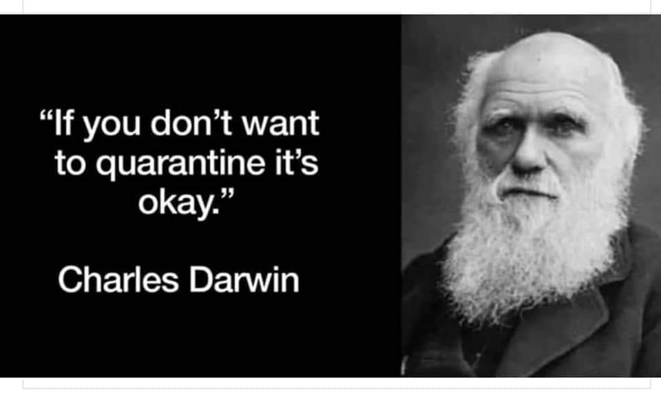 MadeaMattie's tweet photo. #CoronavirusMemes #CharlesDarwin #NaturalSelection #YouAreTheWeakestLinkGoodBye https://t.co/gtvSqIMMMy
