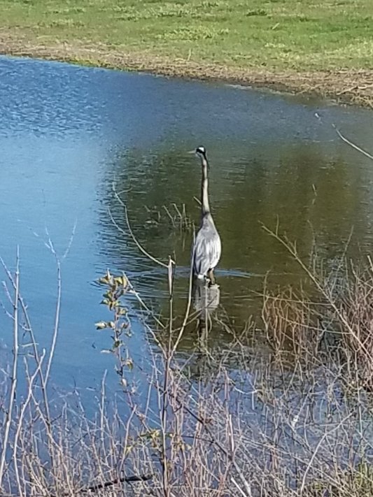 bruisedfriut's tweet photo. I got to Jay for a few minutes on the way to work. @kastkingusa spirale/speed demon combo pond hoper bag Tocca glasses.#kastking #Kastkingusa #kastkingforlife #kastkingfamily #everyday #KFNS #kastkingfamilia #fishing #fishdayton #fishohio #catchandrelease #multispecies #everyday https://t.co/wuvGBMAA6m