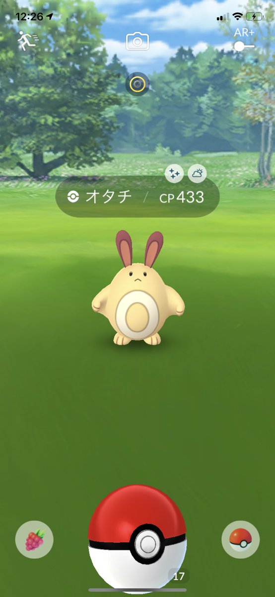 大本命のオタチの色違いget 早く進化させてピンクのオオタチにしたいなぁ ポケモンgo 色違い ツイレポ