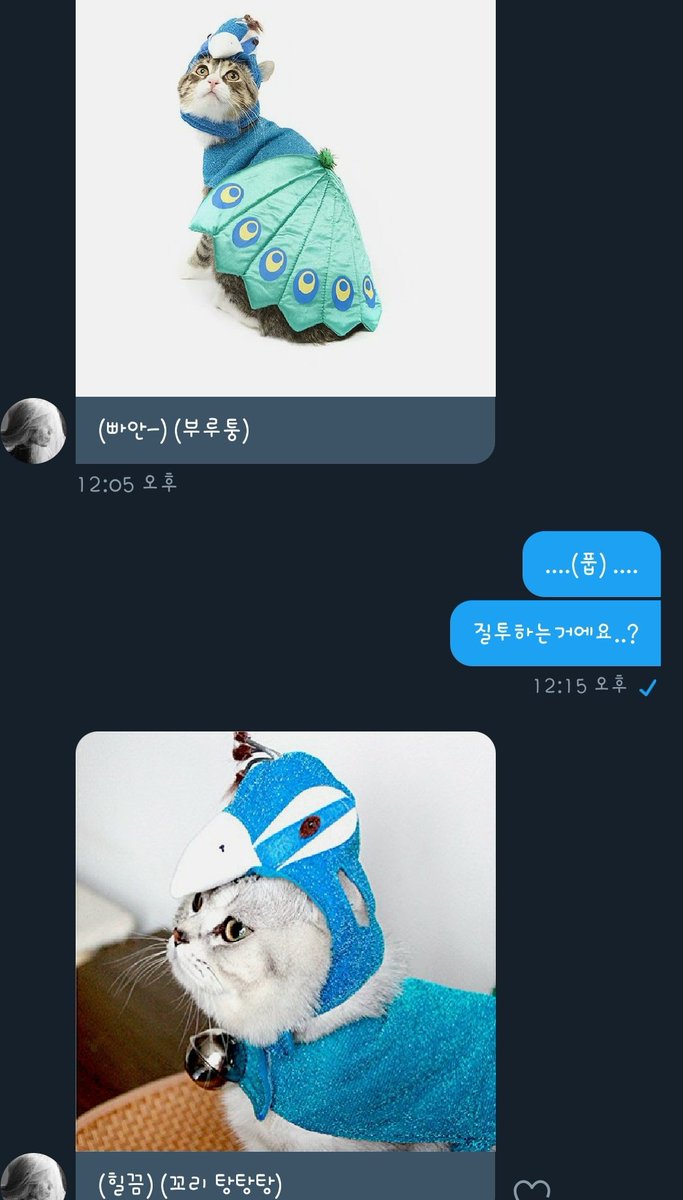 내 귀여운 고양이의 질투..