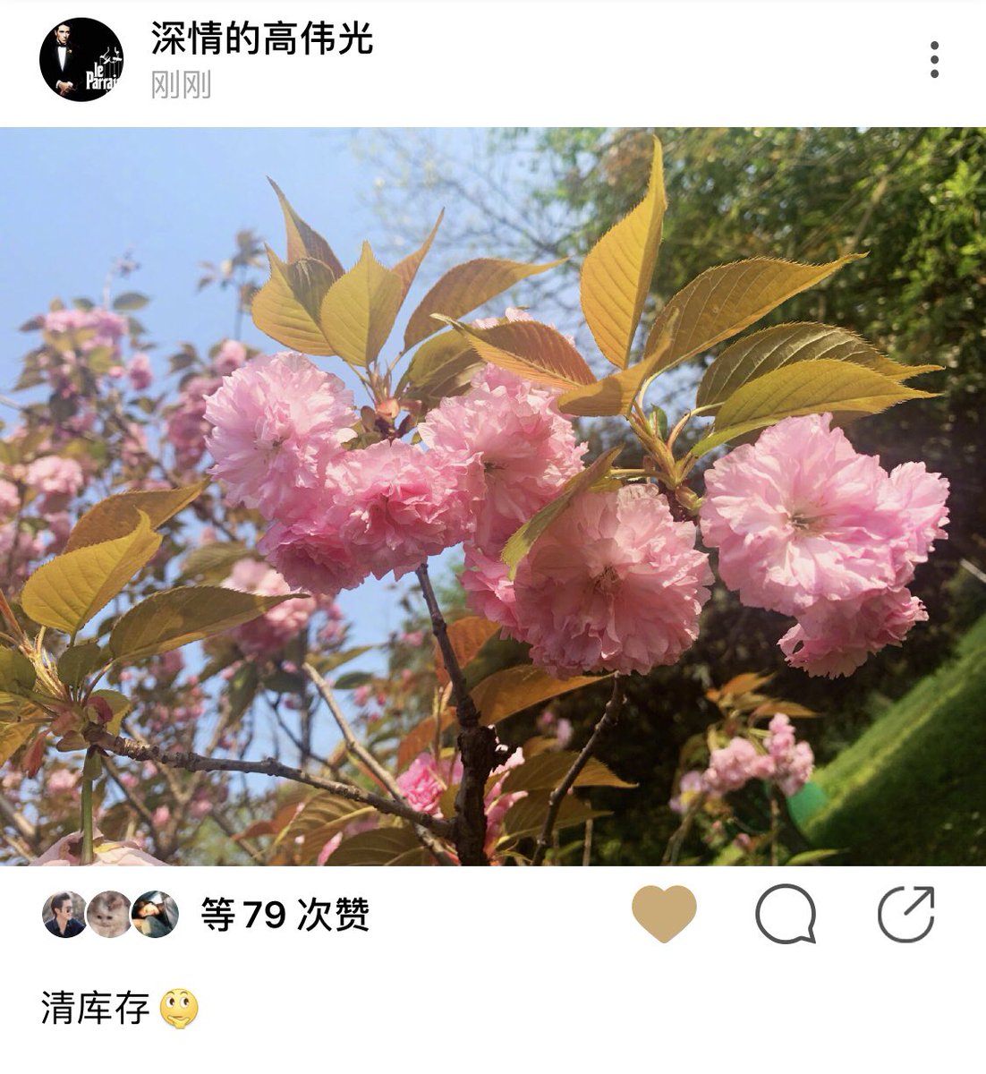 JNocturnes's tweet photo. #เกาเหว่ยกวง อัพ Oasis
แคปชั่น #ClearStock
คือทยอยลงรูปที่ Stock อยู่ในมือถือให้หมด แต่ทำไม ไม่ลงรูปตัวเอง นุ้งรู้นะ ว่ามีอีกเยอะ //ภาพดอกไม้ในวันอาทิตย์แบบนี้ ก็ดูสดใสดีนะ 😎 ☀️
#GaoWeiguang #VengoGao https://t.co/qtvDUUDmdX