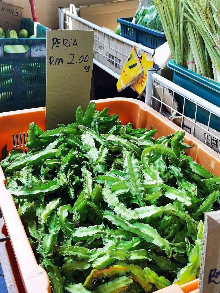 Dia nak scam kaum lelaki yang shopping barang dapur. 😂