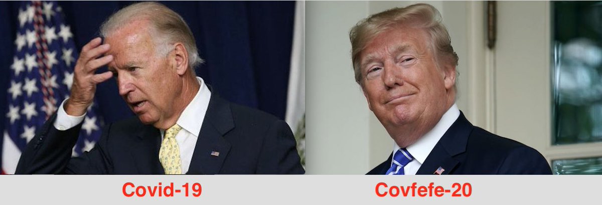 roniheart's tweet photo. The Democrats put up an old man with diminished mental capacities simply because he fit their [fake impeachment] narrative. 2020 will be won by Donald Trump in a landslide. #TrumpPence2020 🇺🇸 https://t.co/LKUiMYKIMT