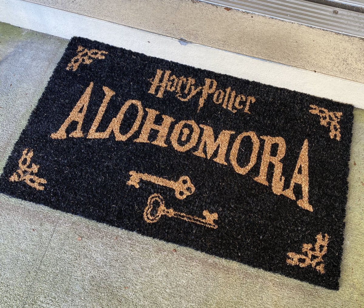 AshMoe28's tweet photo. Loving my new doormat 😍 #HarryPotter #HarryPotterAtHome https://t.co/5XnNjKAooe